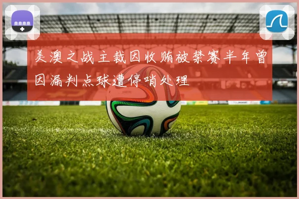 美澳之战主裁因收贿被禁赛半年曾因漏判点球遭停哨处理